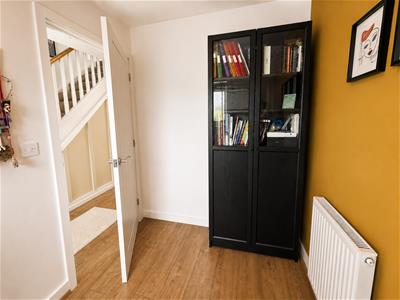 Picture 23